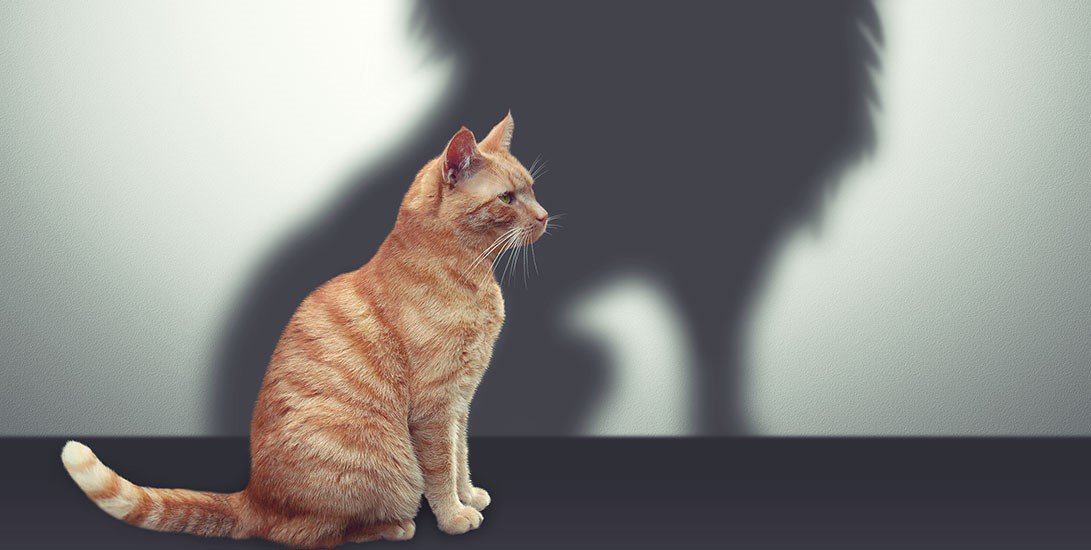 aurorahealthpr's tweet image. Let’s talk about #pharma - Do you want to see campaigns, or do you want to see ideas for your business? #canneslions goo.gl/GGHhta