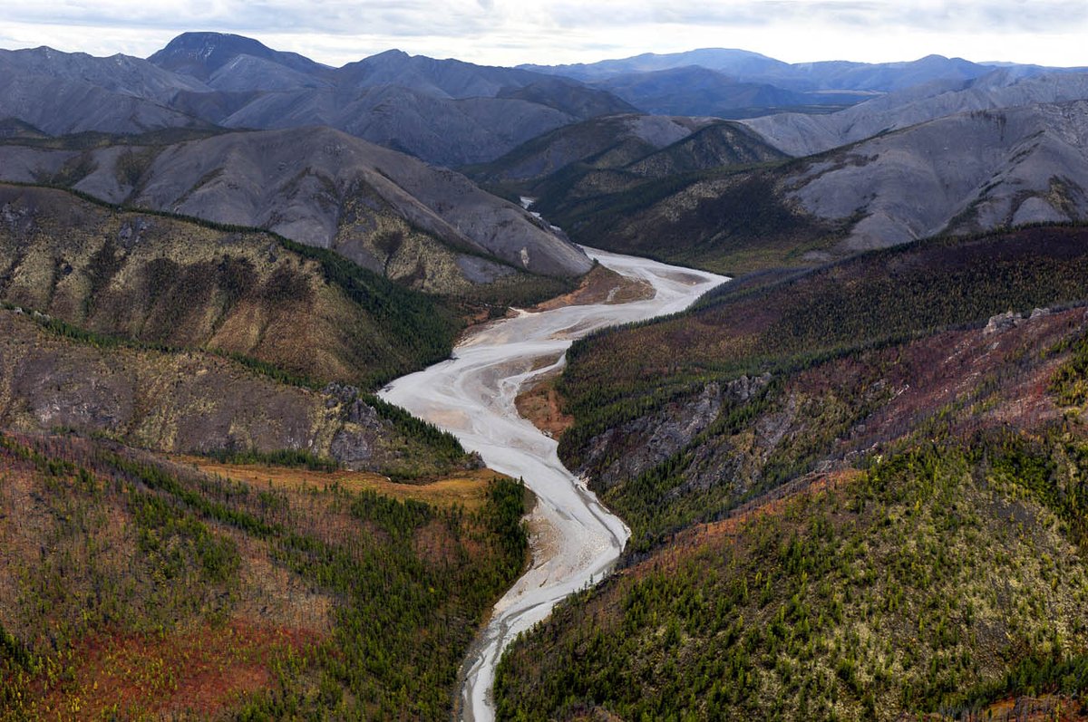 TaigaShtof's tweet photo. #Siberian views in the eyes of Hamid Sardar. #landscape #travel https://t.co/PumRDnYlXF