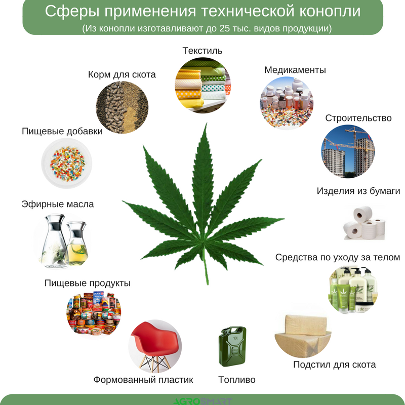 Медицинская польза от марихуаны Медицинская польза от марихуаны наркотики гордый
