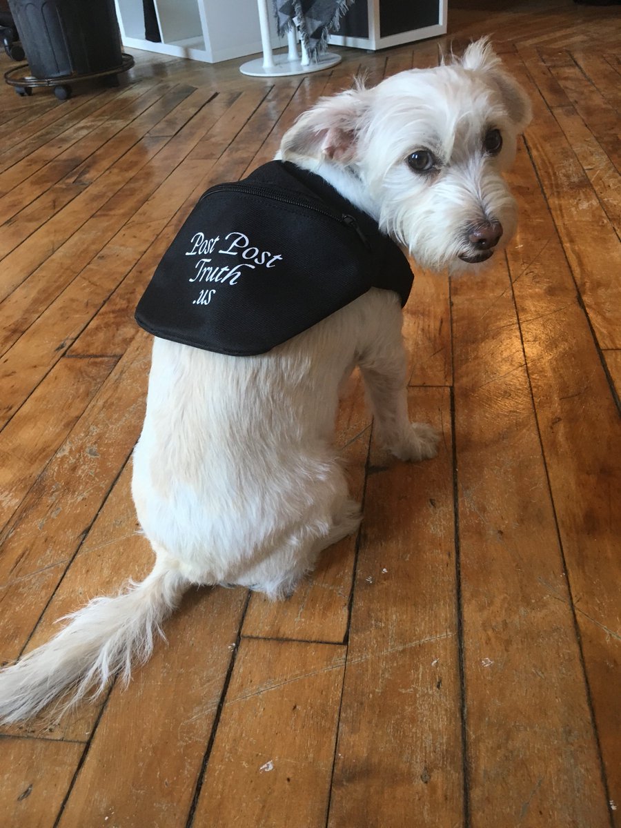 Wax Studios tweet media