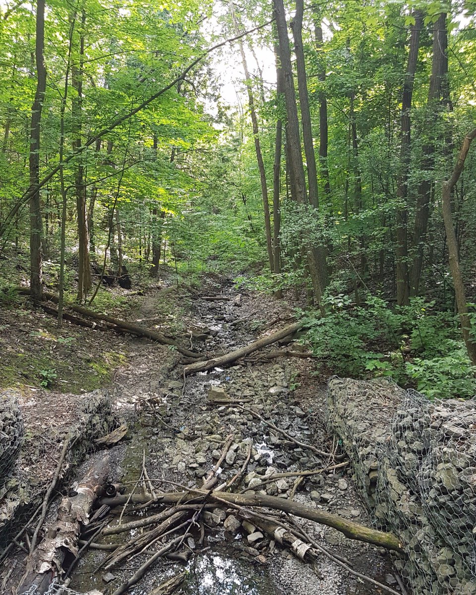 thedrpaul's tweet image. Be #TickAware. Learn about #LymeDisease &amp;amp; how 
to protect you &amp;amp; your family. Here as an informative mobile web app: eohu.ca/lyme/