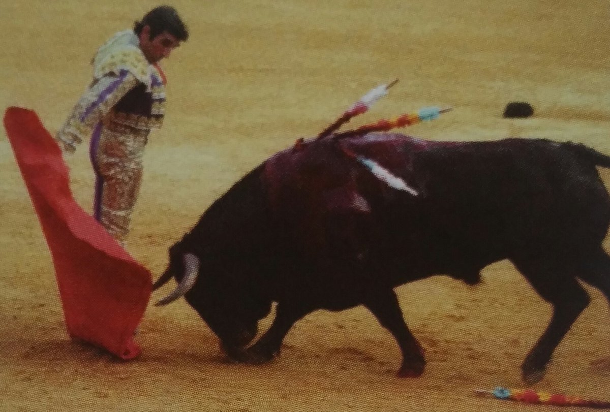 Alfonso_Avila73's tweet photo. Valencia 28-7-93. El maestro Dámaso González indulta al bravo "Gitanito" de Torrestrella tras realizar una gran faena. @_MartaGonzalez_ https://t.co/Jk79QeUjVt
