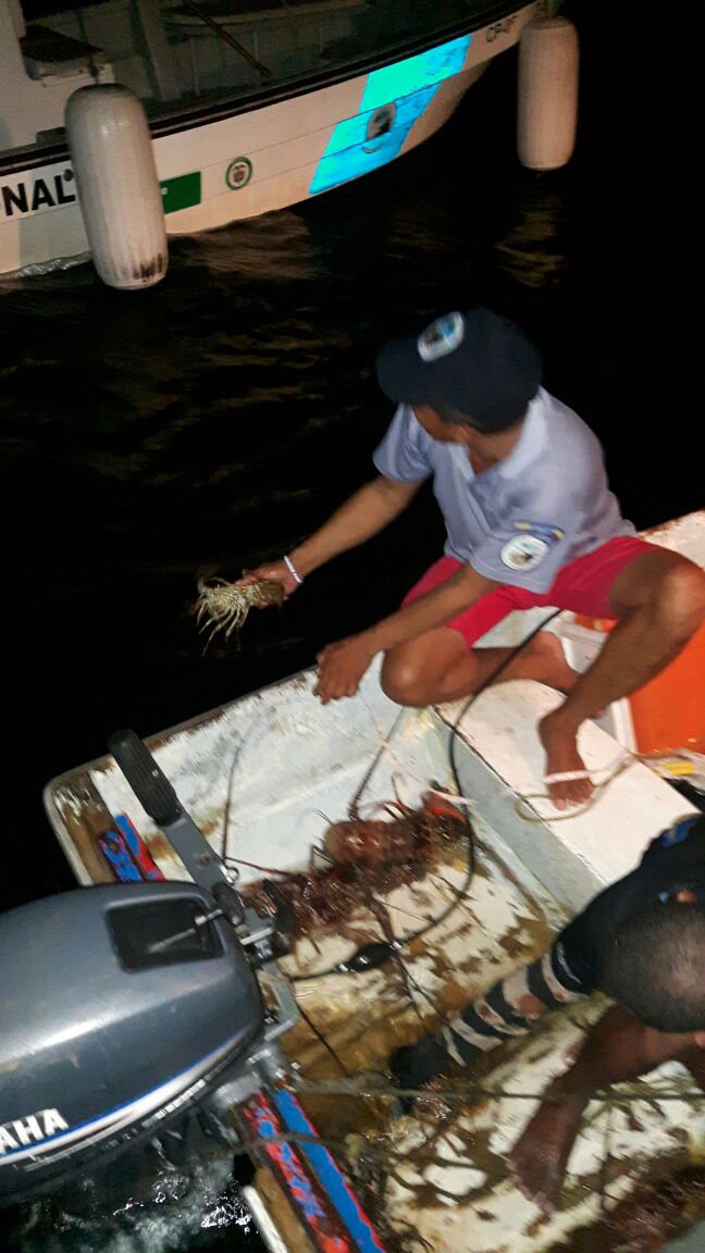 ArmadaColombia's tweet photo. Incautamos #PescaIlegal en #IslaTesoro #Cartagena ratificamos nuestro compromiso con la protección del Medio Ambiente 🐠🐟🐙🐚 @ParquesColombia https://t.co/vVPipycHFJ