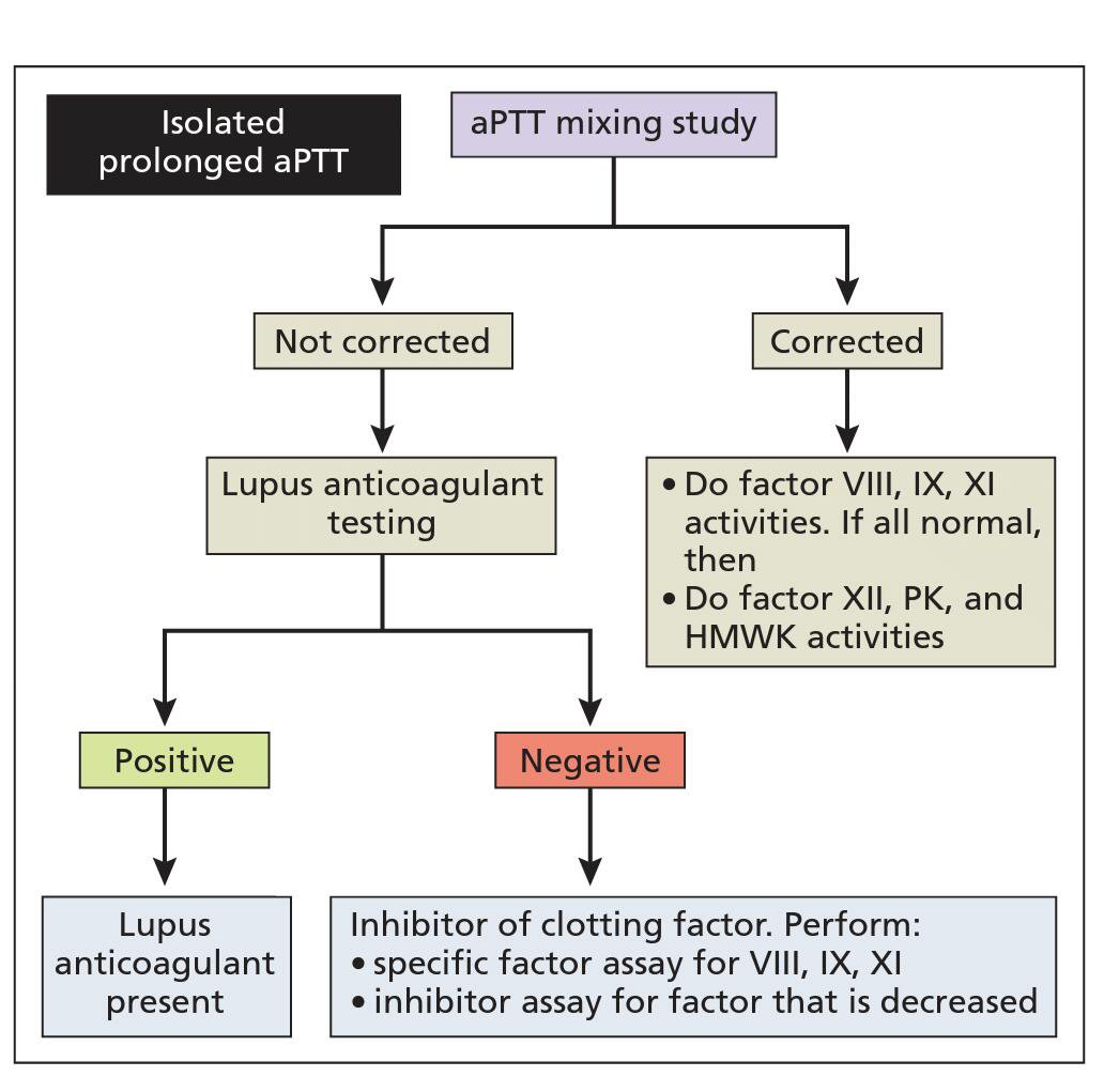 Algorithm for evaluation of an isolated prolonged activated partial ...