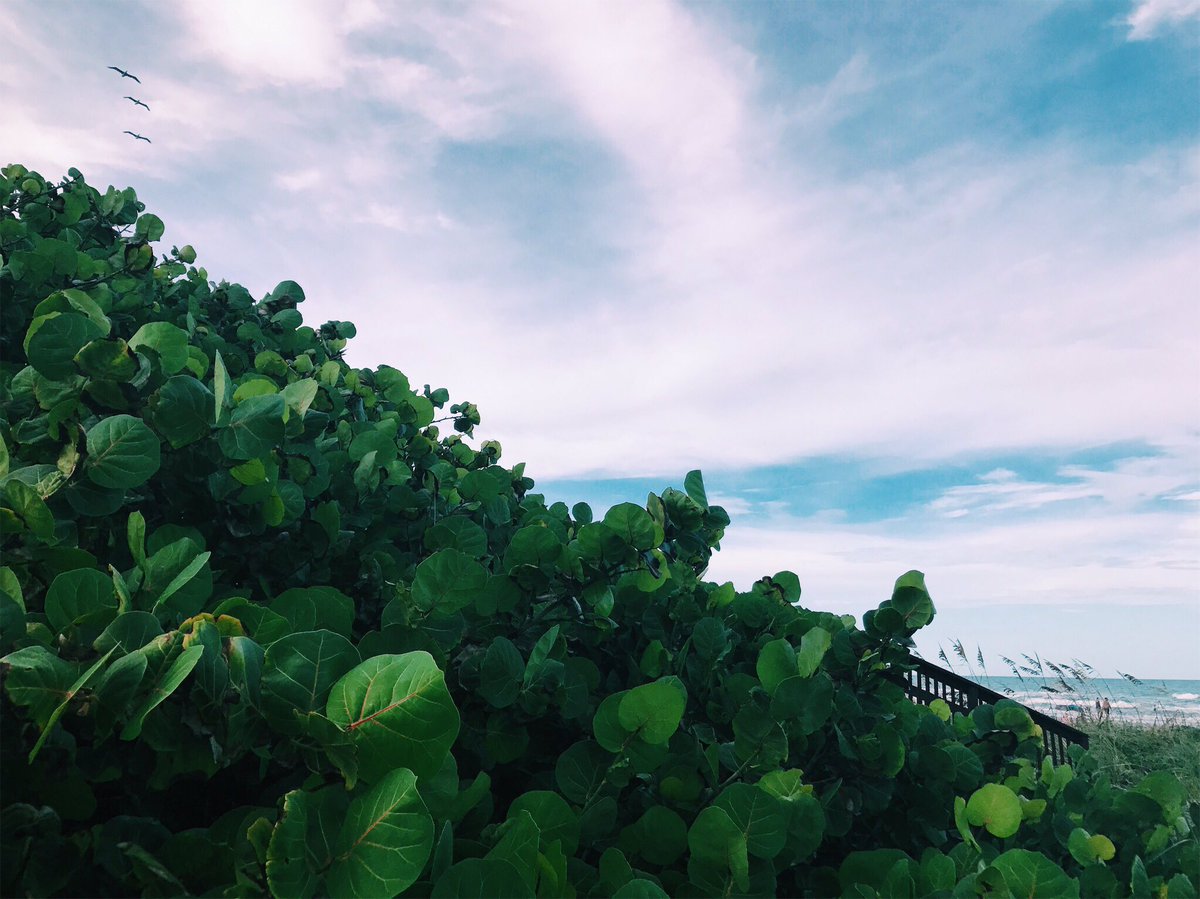 JadynMgreen's tweet photo. beaches and cities https://t.co/aujEZSGgyq