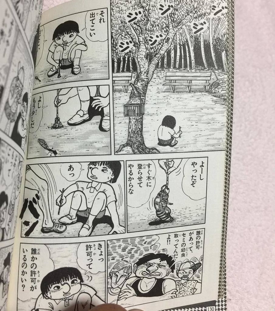 蝉を食べた少年