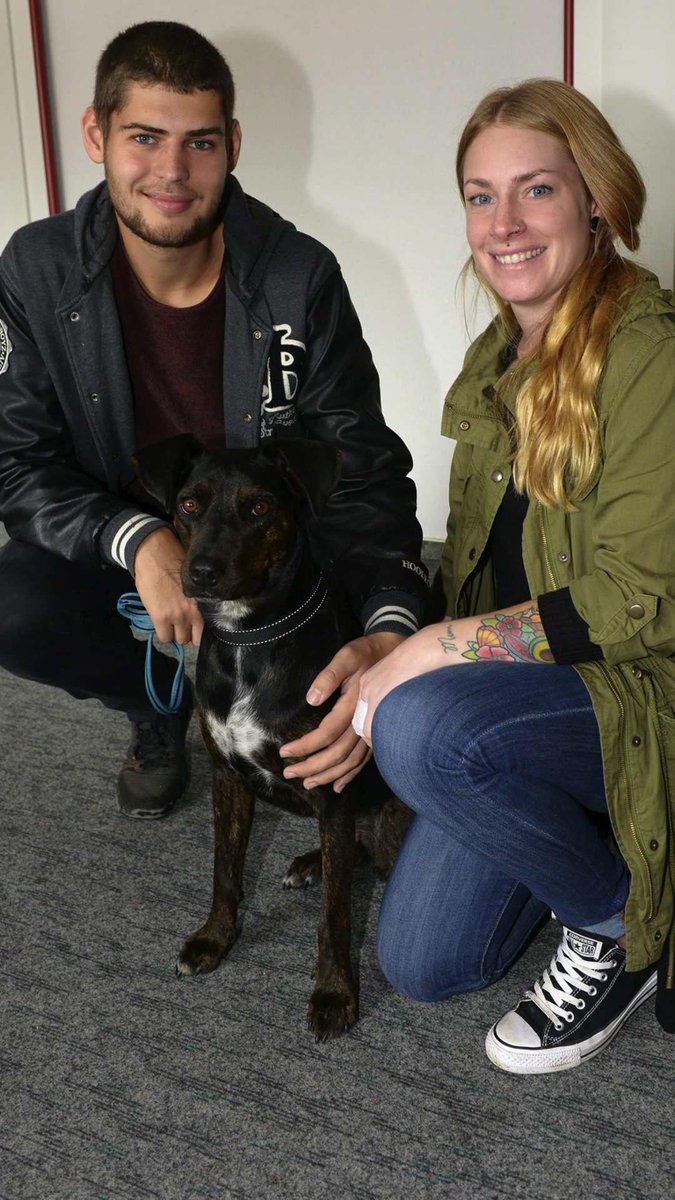 Dank Spendern: Paar aus #Kassel bringt Hund aus Australien mit
lokalo24.de/-8527043.html