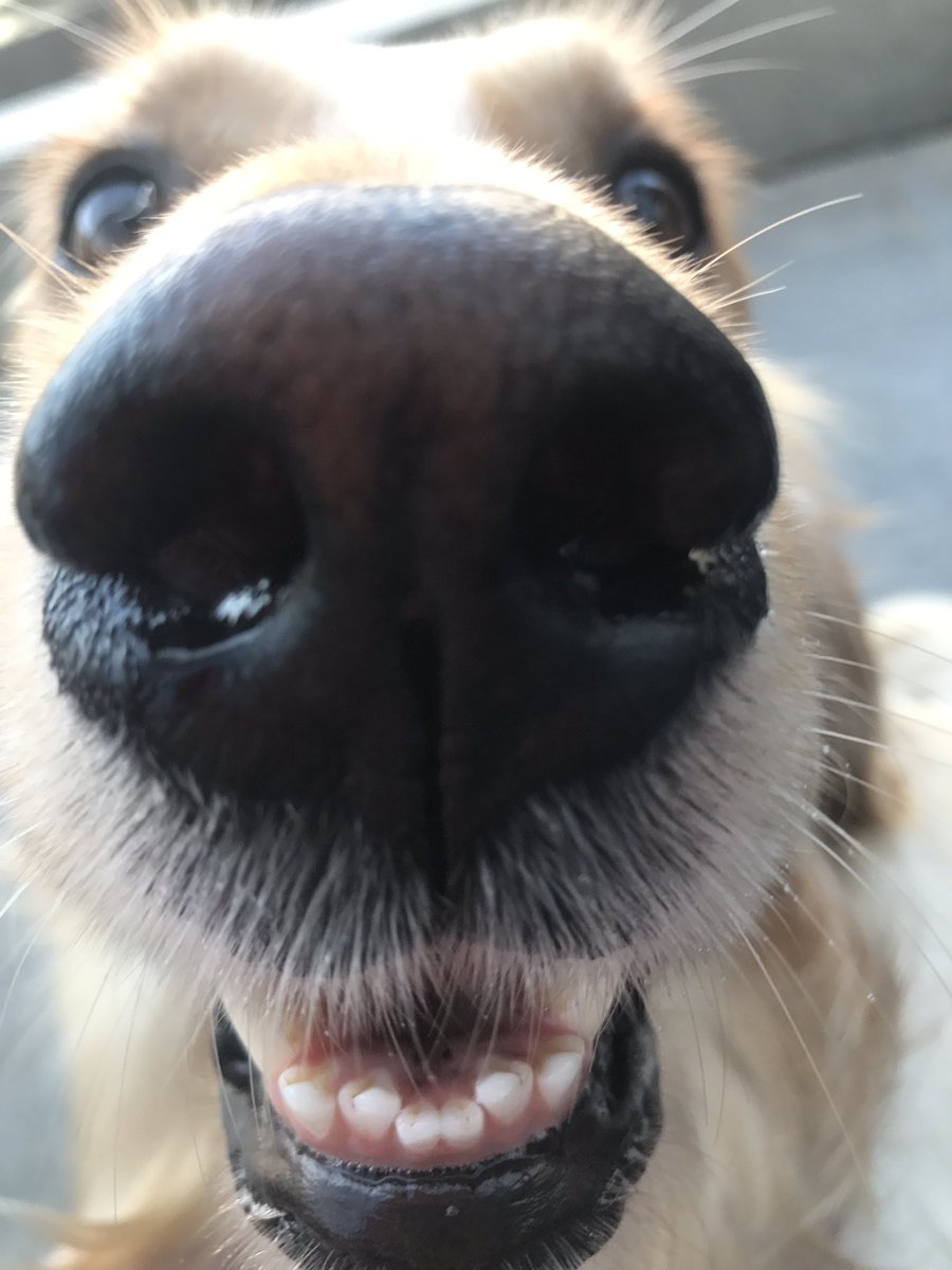 markiplier's tweet photo. The face of pure evil... https://t.co/DP98lM7EPh
