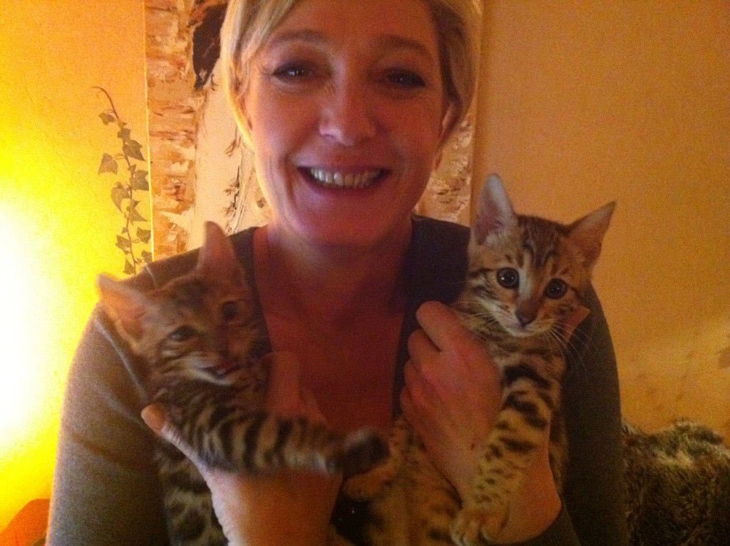 Remynoulechat Moi Moche Et Mes Chats Remynoulechat Moi Moche Et Mes Chats