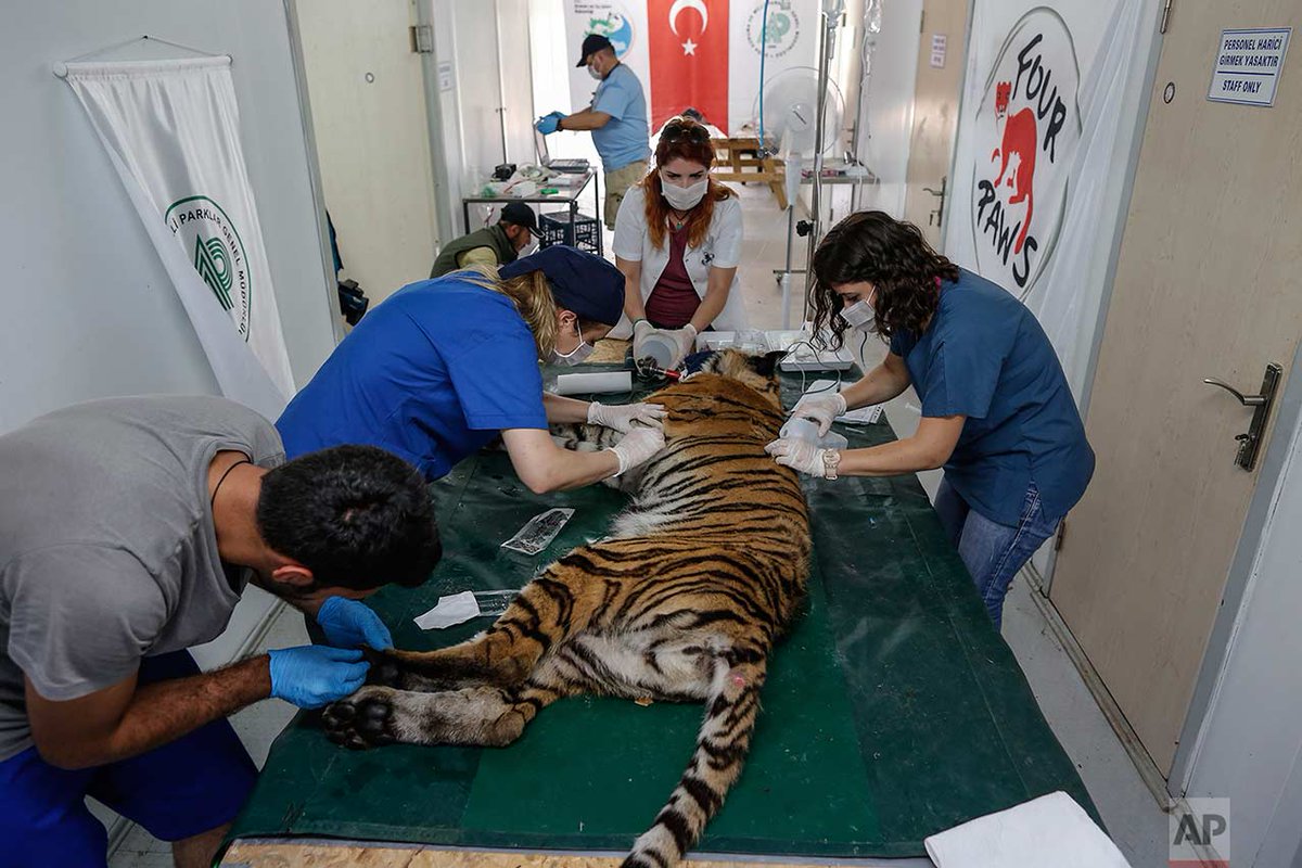AP_Images tweet picture