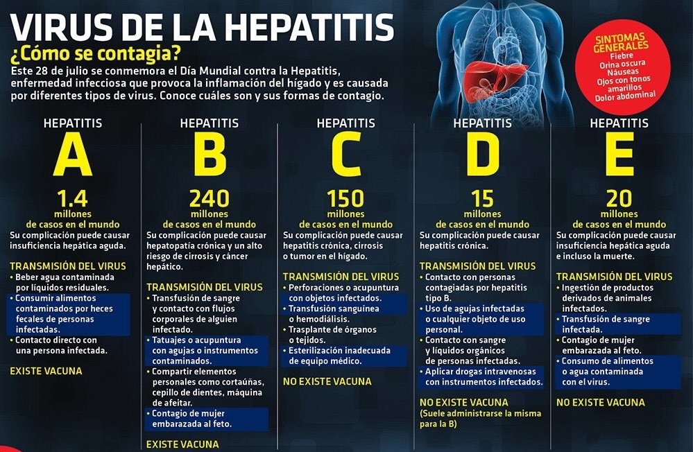 Pros y contras de comer hígado