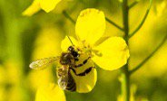 FlexiPodz's tweet photo. #EU is set to ban bee-harming pesticides – We completely agree! #GoGreen #WildAboutNature @FlexiPodz

flexipodz https://t.co/pBOLQ6PdPD