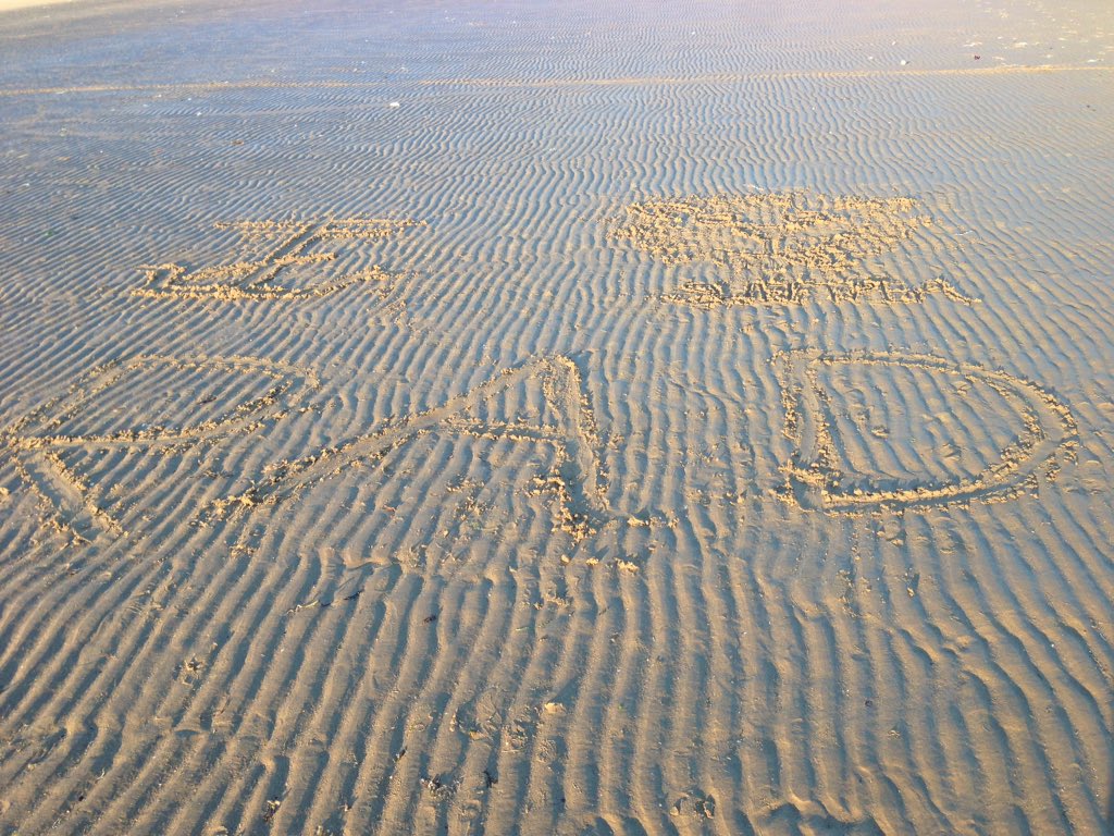 _Imsinkingfast_'s tweet photo. When you let an emo run wild at the beach @FrankIero https://t.co/SxkIBpqNHt