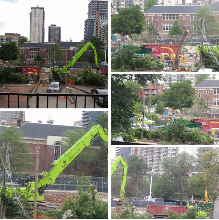 SaveJohnFisher's tweet photo. Heartbreaking images from Erskine Ave, beautiful trees down, construction zone next to beautiful #SaveJohnFisher https://t.co/aGoft8lD10