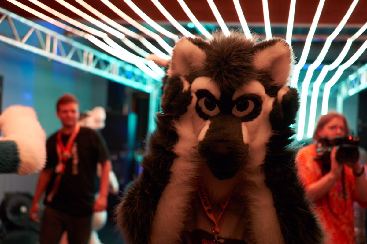 FoxLemur's tweet photo. Oh snap its #fursuitfriday again! #dfd1 @BigBlueFox hiding in the background
📷@Colin_Foxy https://t.co/td2PAHuc66