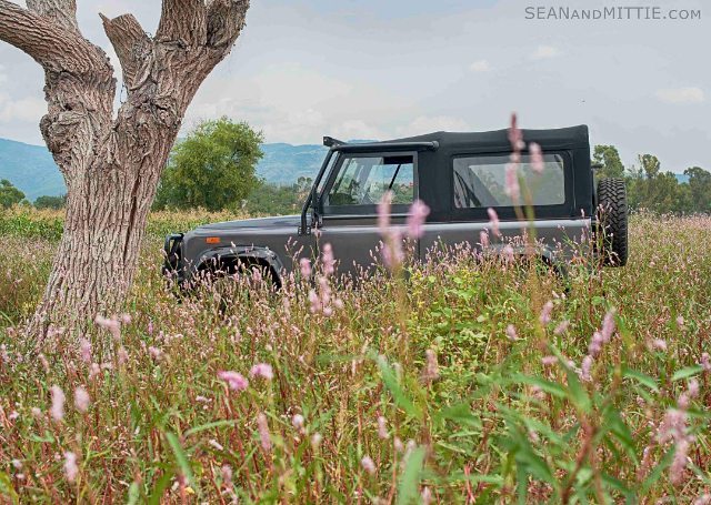 mittieroger's tweet photo. Road ready 💖
.
.
.
#defender90 #landroverdefender #wanderlust #adventure #roadtrip #travelling #traveler #getoutdo… https://t.co/sCF1zimNF6 https://t.co/VmnQ1v7xZ2