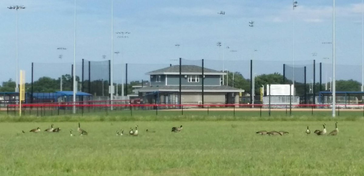 BallparkComplex tweet picture