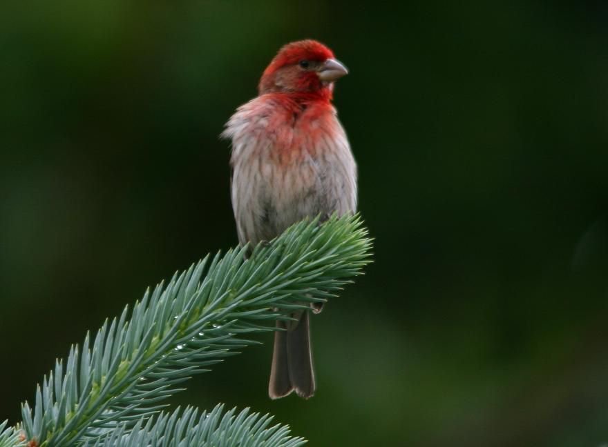 parentpathway's tweet image. Parent isolation and teen substance abuse buff.ly/2eUnuHV #al-anon #annelamott #grief #imperfectbirds #sisterhood