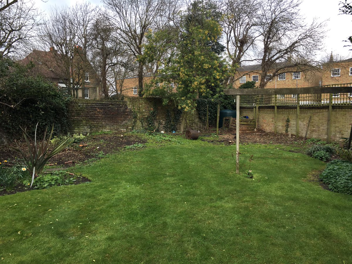 CadoganLscapes's tweet photo. Before and after pics of our recently completed #putney kitchen garden, complete with garden room @cranesheds @GabrielAsh11 @JoanneWinn1 https://t.co/Mwxi8I8XCu