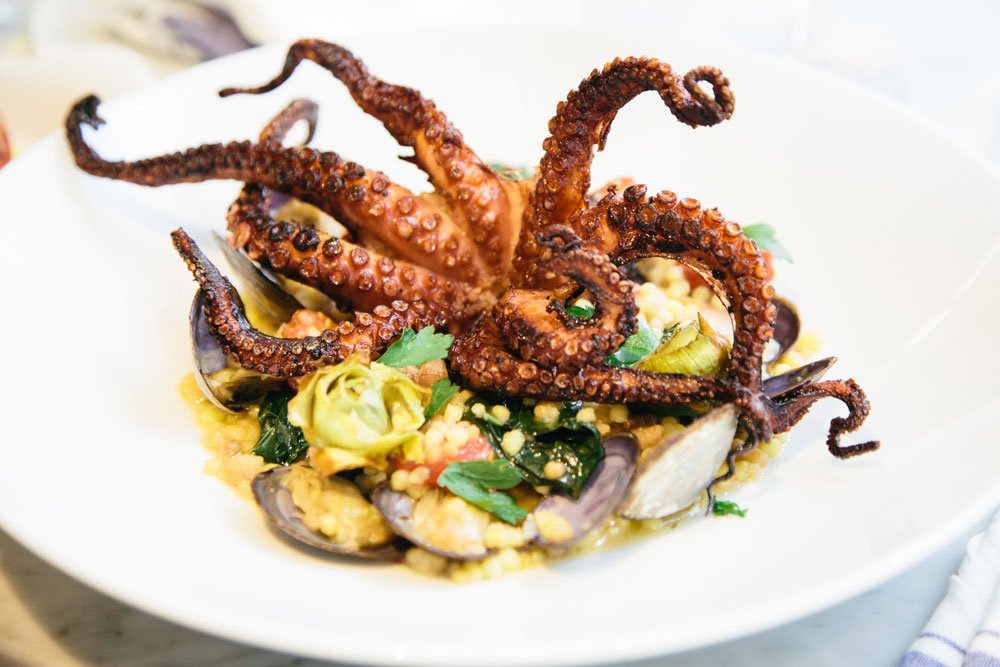 Осьминог ресторанная подача. Осьминоги в сливочном соусе. Щупальца осьминога. Ресторанное блюдо с осьминогом. Осьминог меню.