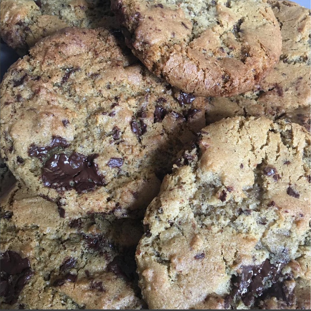 bear_sign's tweet photo. testing cookies today. verdict: ace. will have more of these at Wild and Kind Studio next Sat (5/8). I’ll be there from 10am! https://t.co/XigjPVonMP