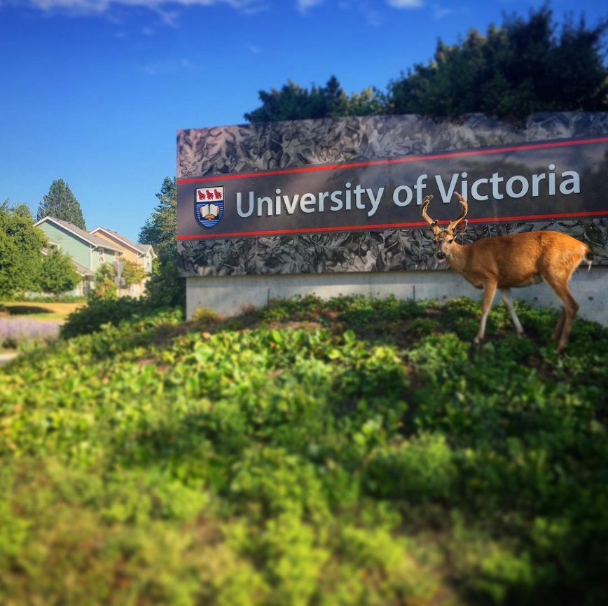 Just another day at UVic. Photo: instagram.com/anetalato