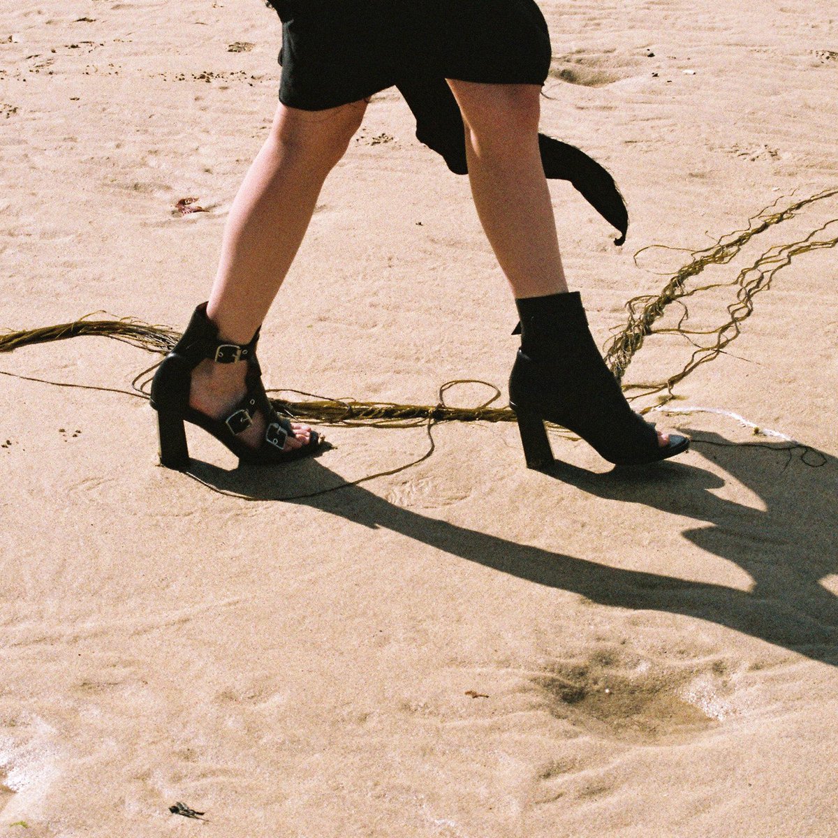 DAMIR DOMA tweet media