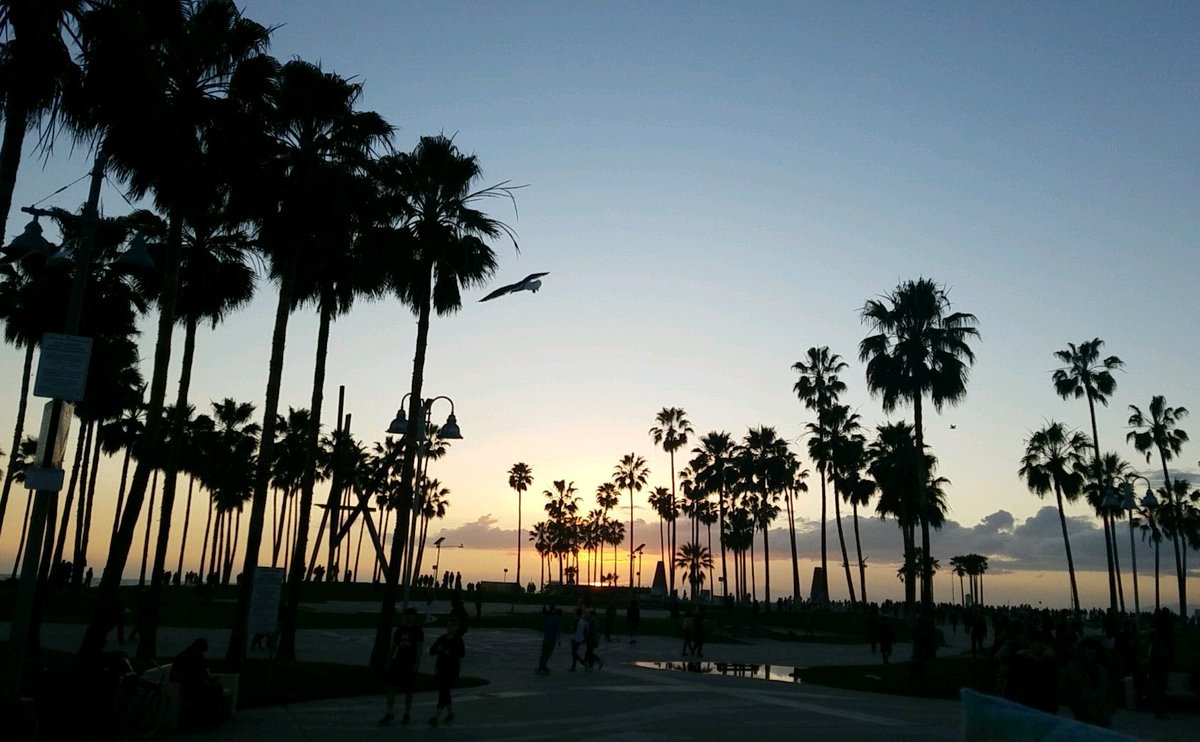 Chase_Victoria's tweet photo. Sunset in Santa Monica #weekendvibes https://t.co/myvwUSK5j5