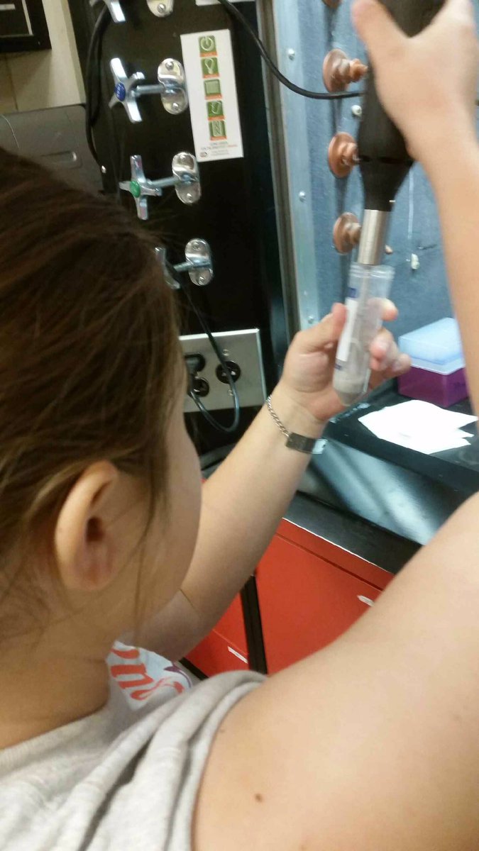 bowe_madison's tweet photo. I can say with confidence that the best part of running cortisol assays was watching the color change! #REUStreamTeam https://t.co/MzJoKMQju8