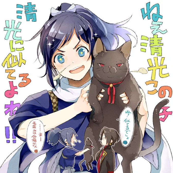 リクエストBOXより ✿清光似の黒猫と安定くん✿ 