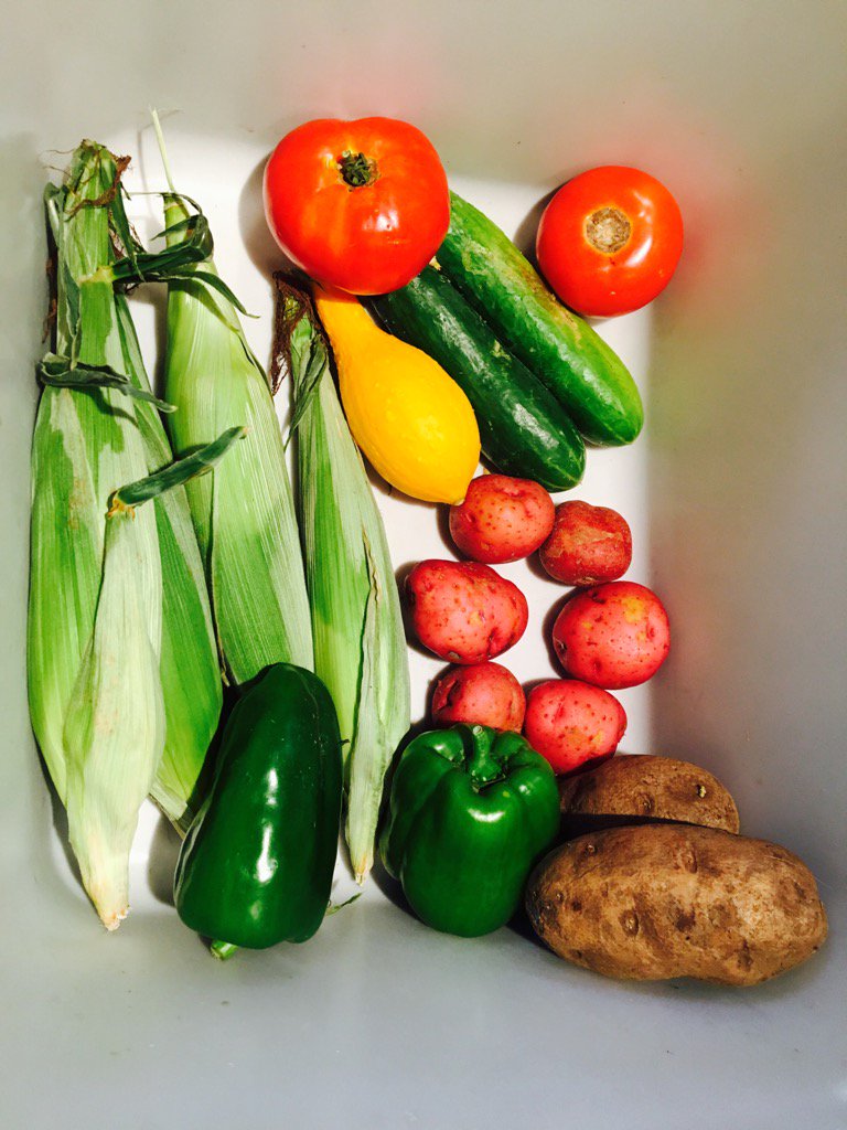 eWayFDN's tweet photo. "If there's a food desert ahead, build an oasis." -#HMOGP π₯ πΆ π½ π₯ π
https://t.co/xoCbEJbn2T