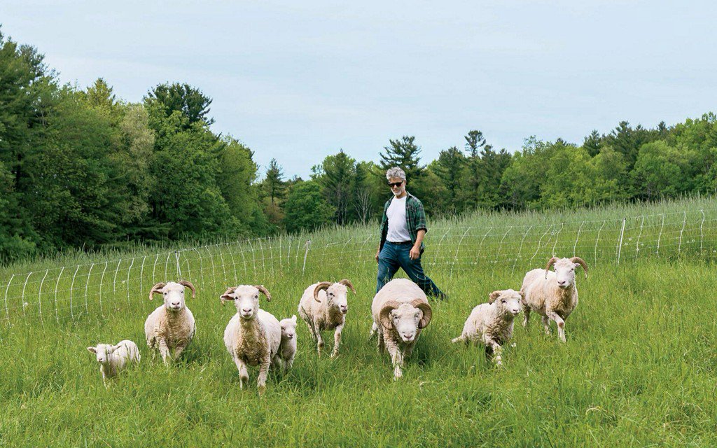 TravelLeisure's tweet photo. This sweet little farm in the Berkshires might be the best-kept secret in Massachusetts https://t.co/FFNwPwo7q8 https://t.co/T92JBGeamT