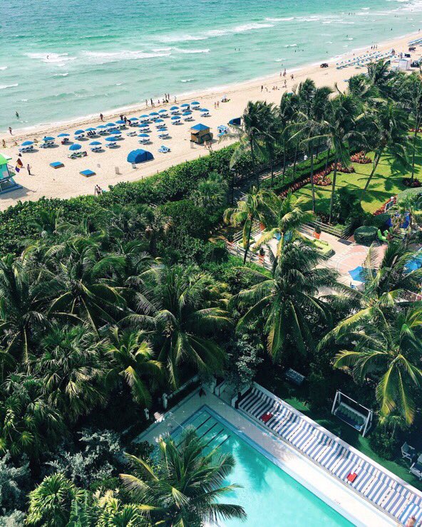 houseofz_'s tweet photo. The home of Sun, Beaches, Palm Trees and Bikinis #HappyBirthdayMiami ๐๐๐๐๐โ๏ธ๐๐ด๐น#FridayFunDay #FridayFeeling #sunning #sunningswim #miami https://t.co/ihzoN879AL