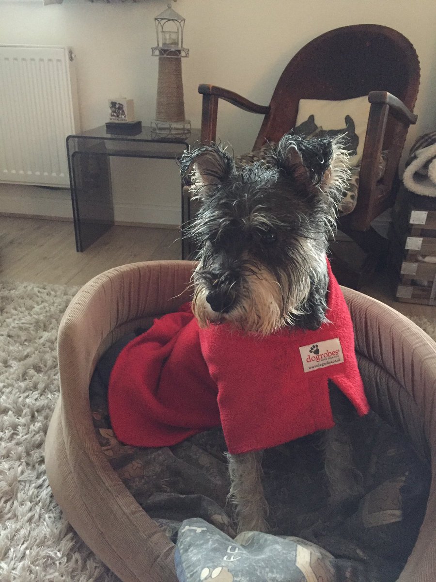YTwlsynidris's tweet photo. Dwi ddim yn licio'r #glaw 'ma o gwbwl. Ail waith heddiw ma i mi orfod gwisgo'r dressing gown goch ma! #notamused @sioned_daf @sara_dafydd https://t.co/Z3RaeELgZt