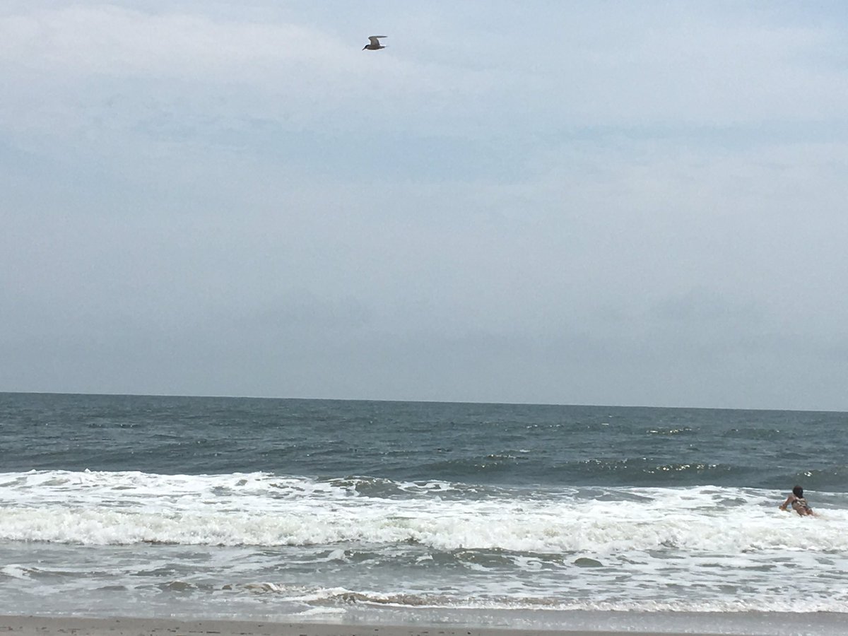 SuePattonStone's tweet photo. #brigantine #34st #beachday https://t.co/HBclcQcXU8