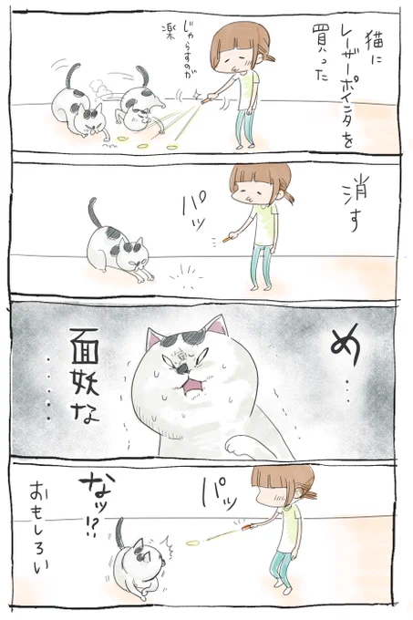 犬と猫はおもちゃの楽しみ方がなんかちがってたのしい。 