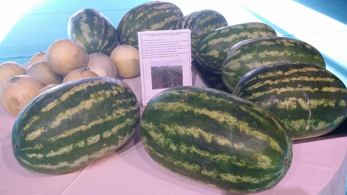 Degustazione dei prodotti tipici sardi al @Valtur_Official Tanka Village con i produttori di <a href="/campagnamica/">Campagna Amica</a> <a href="/coldiretti/">Coldiretti</a>