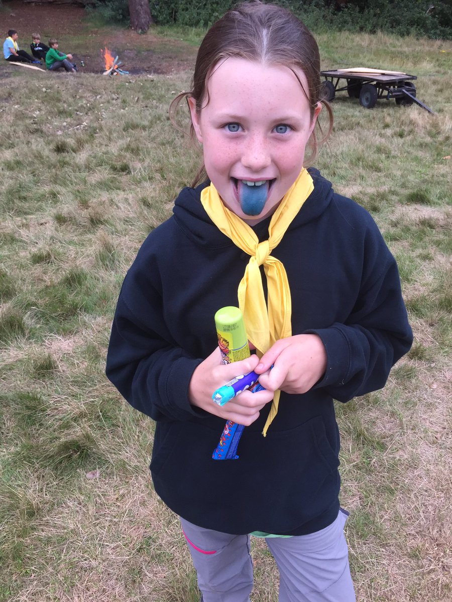 1stWargrave's tweet photo. We have a infestation of blue tongues! #BrainLicker courtesy of @WaltonFirs Camp shop!
#Wargrave Scouts https://t.co/GCyMMNGBPJ