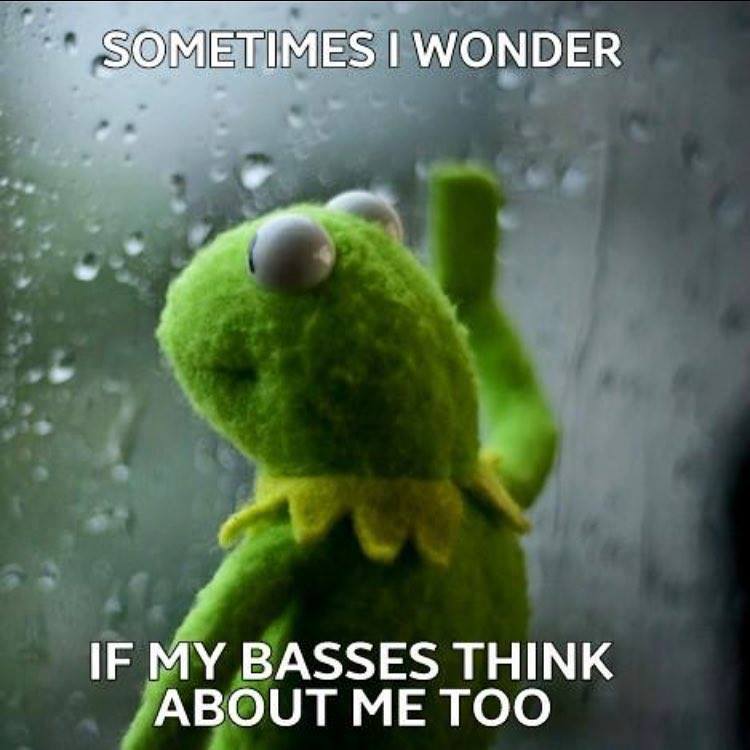 Bass Player (@bassplayerweb) on Twitter photo 