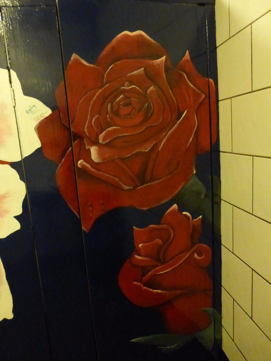 TheAdelphiClub's tweet photo. Stunning new paint job in the ladies' loos #Adelphi #Hull #HullAdelphi thanks to @TEAM6NCS17 @NCS_EFLTrust @ncs https://t.co/00UhkYTOO5