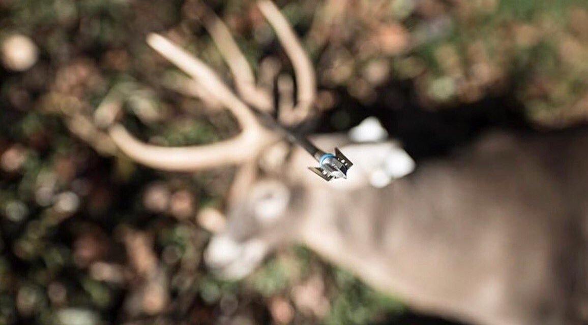 G5 Outdoors tweet media