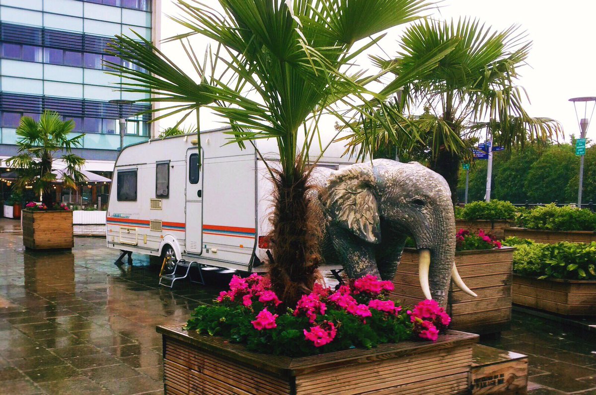ThePaperBirds's tweet photo. We've arrived @WatersideArts and made a new friend. Introducing Nelly! Join us tomorrow & Sunday #Refract17 #PBMobile https://t.co/56RXMqdVn8
