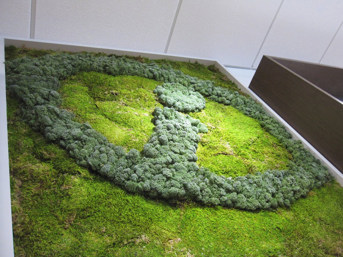 HatchInteriors's tweet photo. This custom moss wall we designed for @isightoptometry looks fantastic in their new office! #becausegooddesignisgoodbusiness #bynaturedesign https://t.co/GlJ8Lv82cP