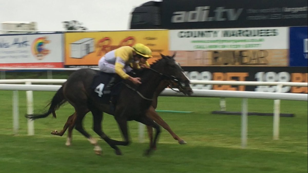 Chepstow_Racing's tweet photo. Double Reflection 5/1 wins The @BathwickTyres Cardiff Novice Auction Stakes. Congrats to jockey @CliffordleexLee &amp; trainer @karl_burke https://t.co/6JeVoMpE4i