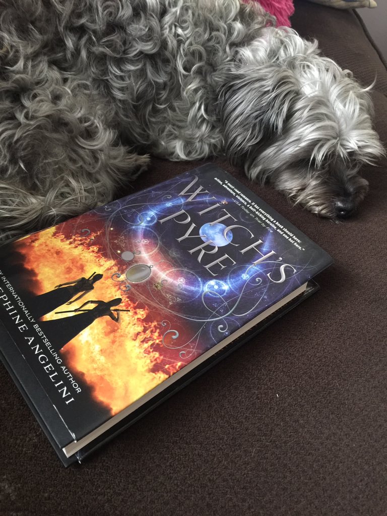 brittanysbook's tweet photo. @BookTubeAThon My dog lily! But I'm more her moral support since she's getting a haircut soon and is nervous🙈 she doesn't like ✂️ #BTAT2017 https://t.co/UqZIYhSDTN
