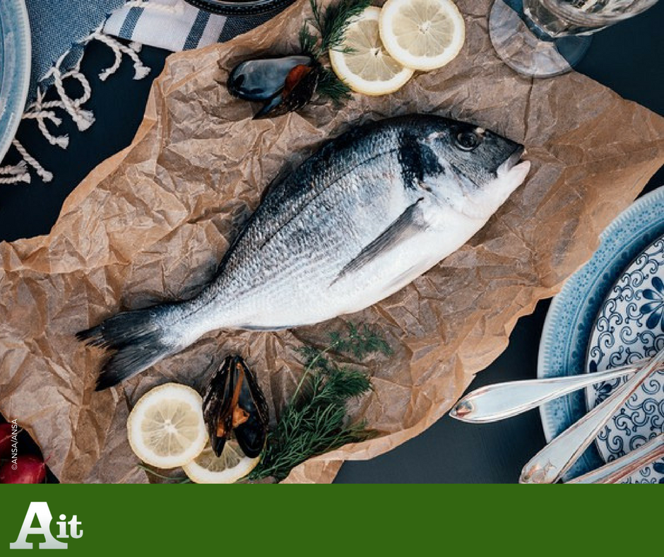 Ansa_TerraGusto's tweet photo. #DalMare | Piatti salva-caldo con tanto pesce per 4 italiani su 5, da @Federcoopesca #vademecum per acquisti sicuri https://t.co/J9QvU5f9yt https://t.co/BSmnKphcvi