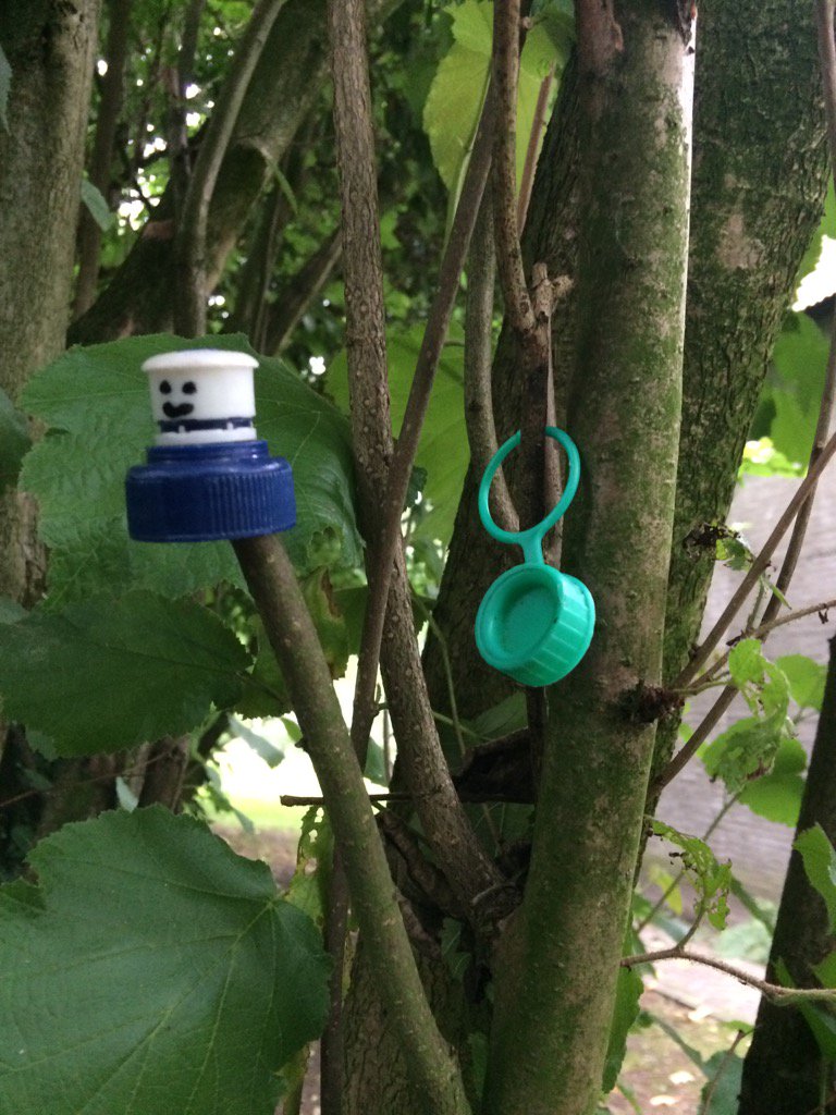 Klauterbos met #zwerfie survival Dop