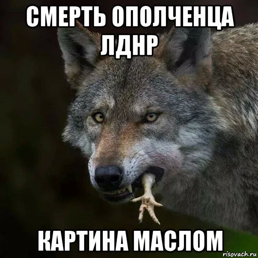 Миссия ОБСЕ зафиксировала 110 взрывов на Донбассе 27 июля - Цензор.НЕТ 3897