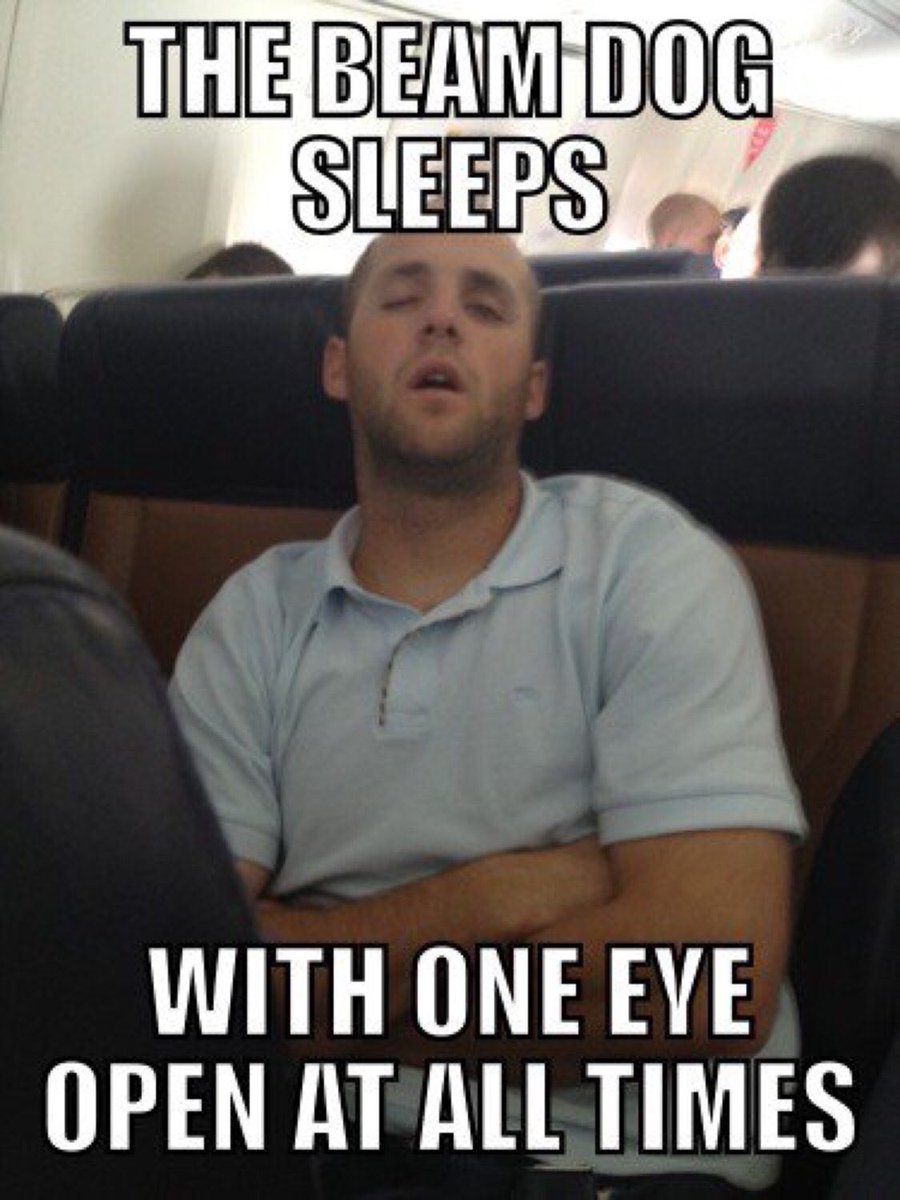 NOTbeamerweems's tweet photo. The Beam Dog calls sleep: shut eye. Not as a figure of speech but as a literal act of 1 of his eyes. The other eye is prepared for anything. https://t.co/oODOegUK6O