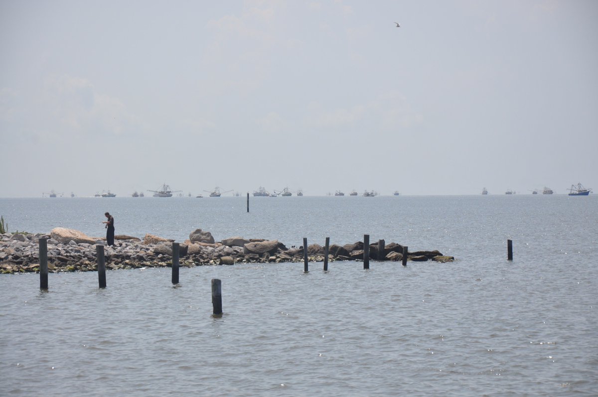 SenThadCochran's tweet photo. Effort underway to prompt @NOAA to include #shrimp in Seafood Import Monitoring Program. Important to US consumers: https://t.co/uAR5EtDIEZ https://t.co/6Cwm50myFJ